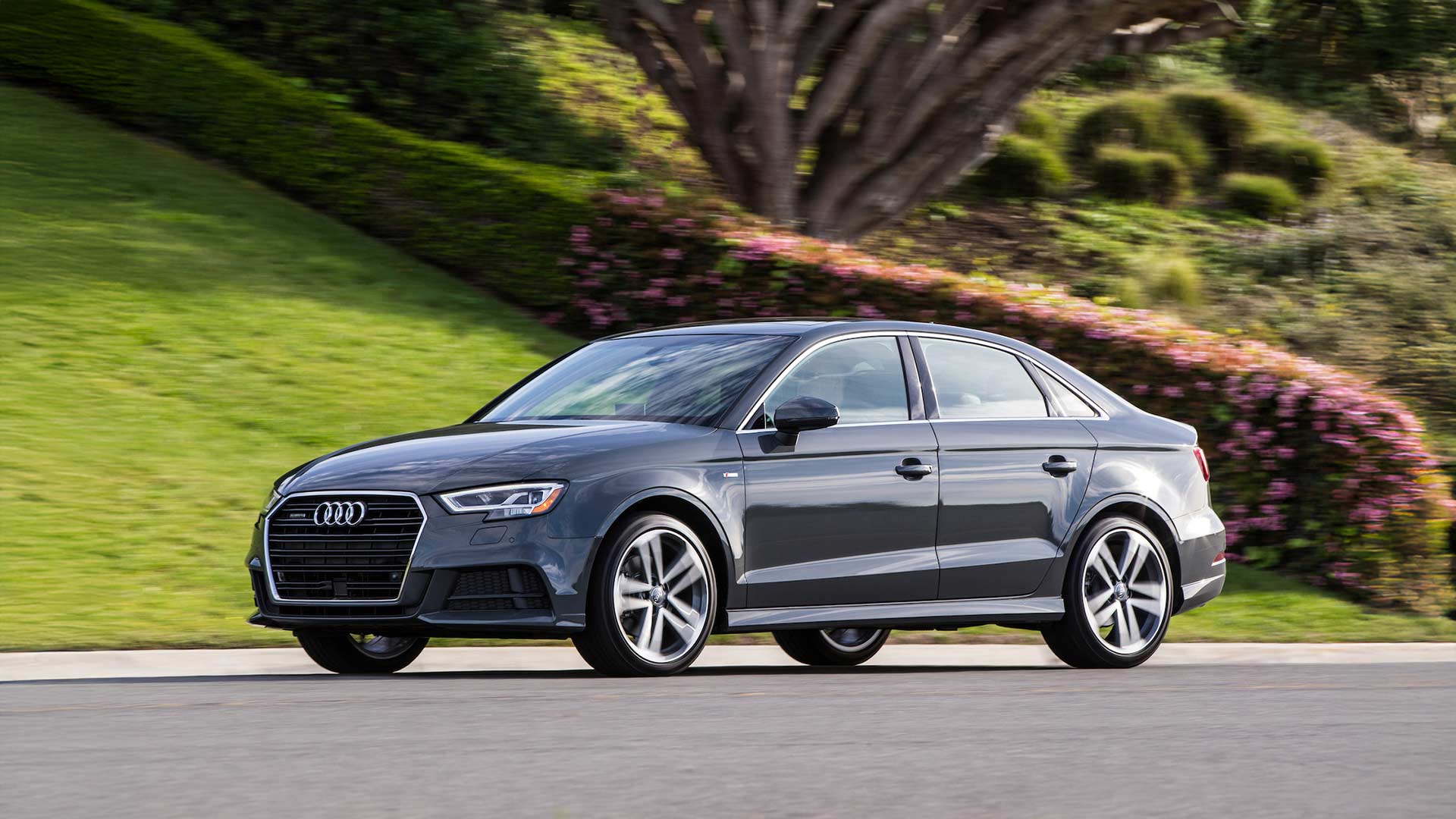 gray audi a3 8v driving next to green grass and flowery bush
