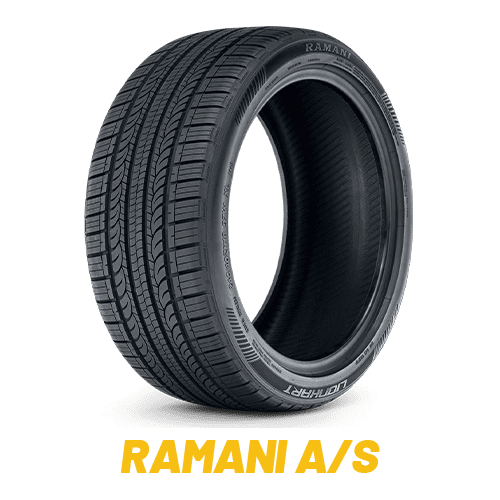 lionhart ramani as graphic