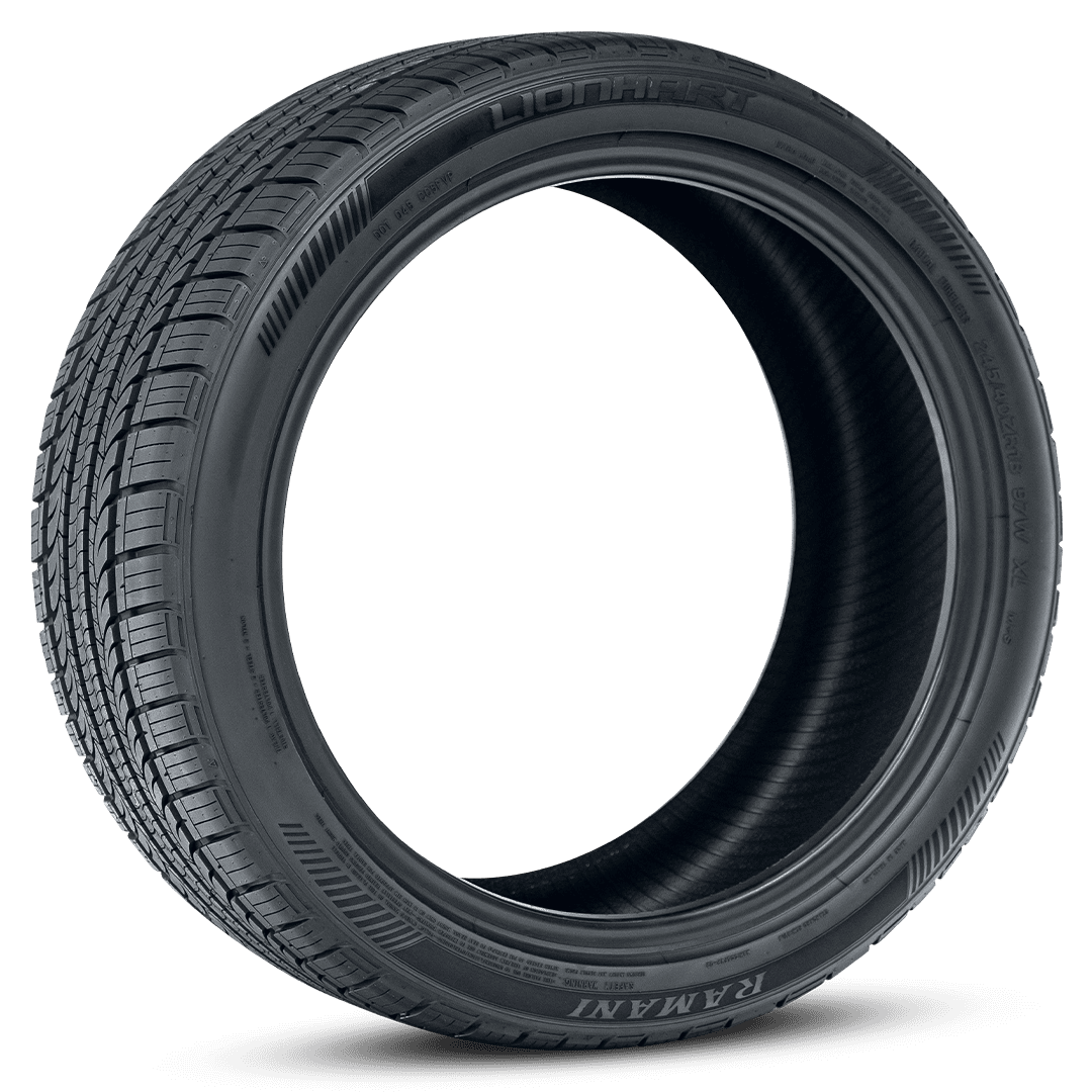 lionhart ramani as 45 angle